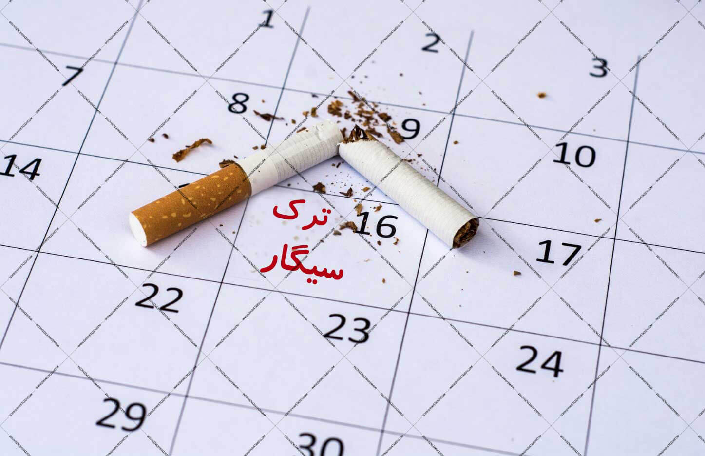 ترک سیگار در کمپ