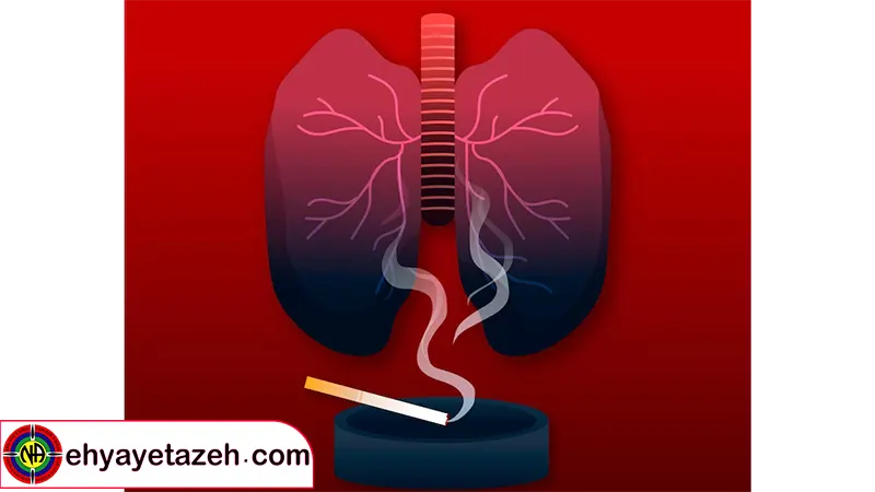 چرا جلوگیری از اعتیاد مهم است؟!