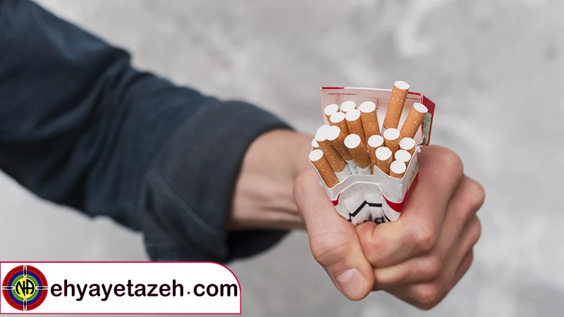 کمپ ترک اعتیاد در چهاردانگه