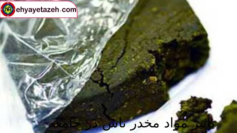 تأثیر مواد مخدر ناس در جامعه