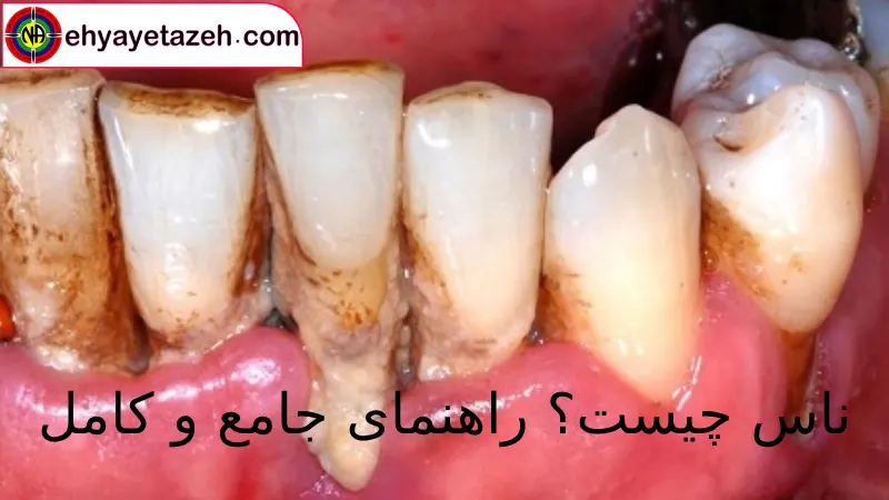 ناس چیست؟ راهنمای جامع و کامل