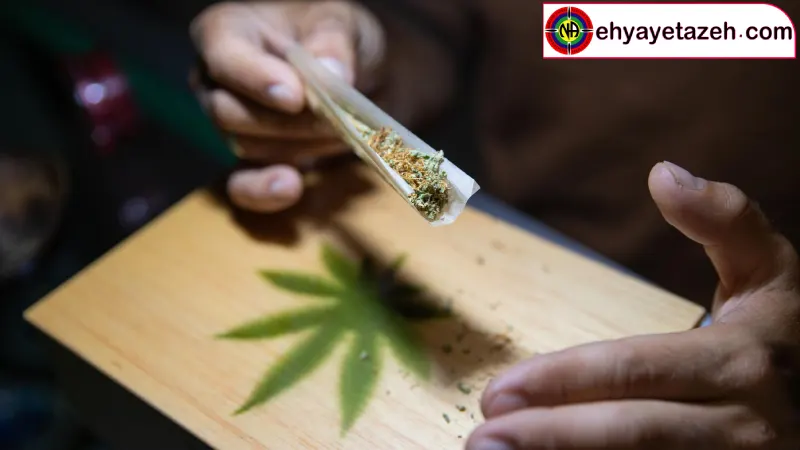 کادر تخصصی و مجرب در ترک اعتیاد حشیش