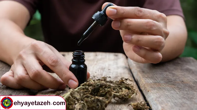 ترک گل با کندر؛ راهکاری مؤثر برای ترک اعتیاد و بهبود کیفیت زندگی