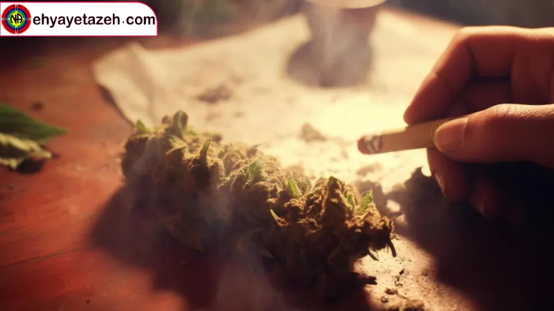 چالش های ترک گل در تهران و استفاده از کندر به عنوان جایگزین