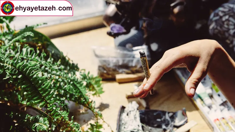 کمپ ترک اعتیاد احیای تازه آغاز زندگی دوباره، رهایی از زنجیر های اعتیاد