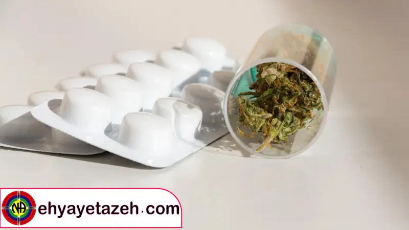 دراگ و تأثیرات آن بر عملکرد مغز و سیستم عصبی