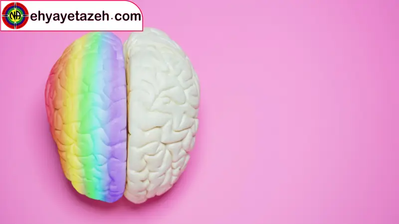 نورودایورسیتی چیست؟