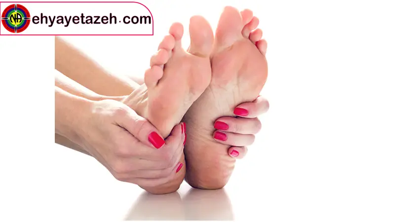 کمپ ترک اعتیاد احیای تازه مسیری نو برای زندگی بدون وابستگی