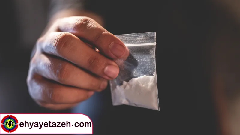 بازگشت به زندگی، از همین امروز