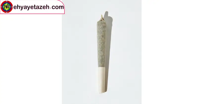 پیکو (Pico)؛ مرگ خاموش در قالبی جدید