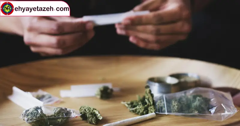 کمپ ترک اعتیاد احیای تازه