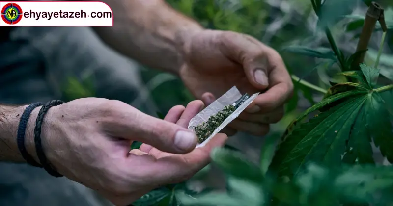 پیکو (Pico)؛ مرگ خاموش در قالبی جدید بررسی علمی، روان شناختی و اجتماعی ماده مخدر پیکو