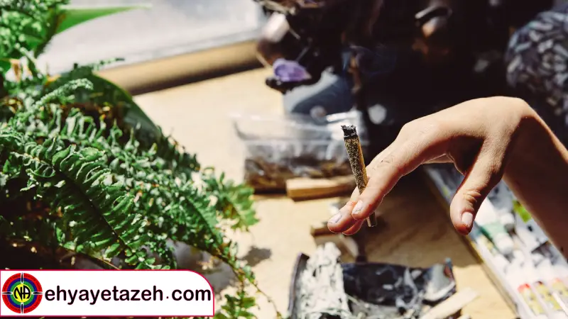 احیای تازه دروازه ای نو به سوی زندگی