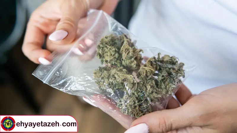 مراحل ترک گل گام به گام به سوی بهبودی