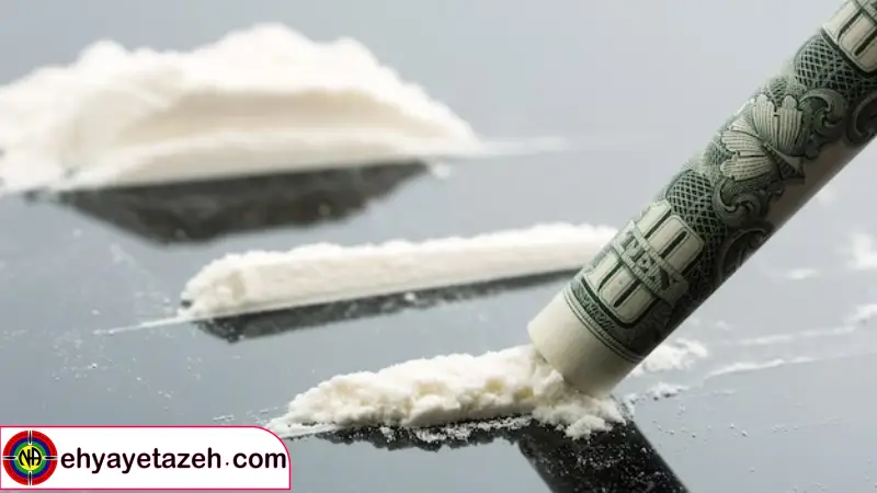 آیا زمان آن نرسیده که فصل جدیدی از زندگی خود را آغاز کنید؟