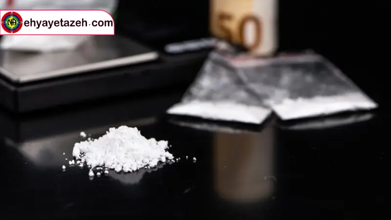 ژن های کلیدی که توسط کراک بازنویسی میشوند