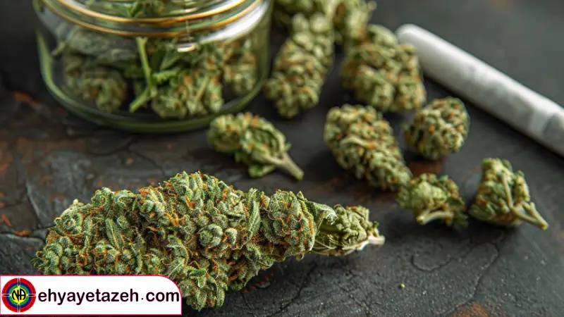 نشانه های رفتاری و اجتماعی زنگ خطرهای پایدارتر