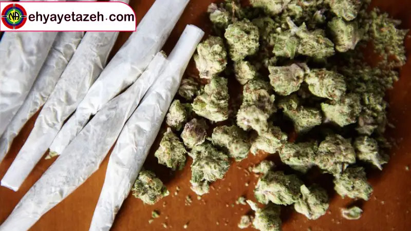 چرا تشخیص زودهنگام مصرف ماری جوانا حیاتی است؟