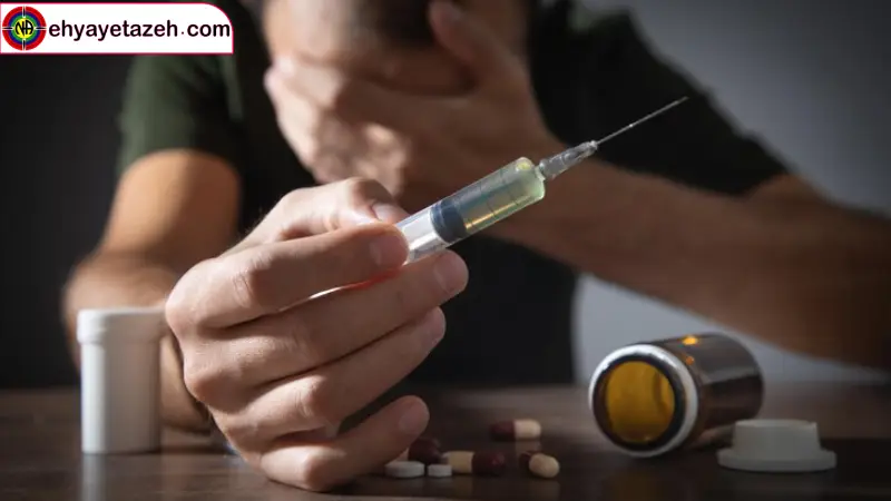 در مرکز «احیای تازه»، طلوع دوباره زندگی تان را جشن بگیرید