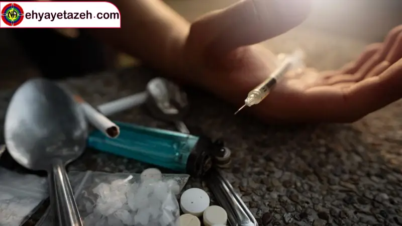 چرا احیای تازه؟ تفاوت ما در خدمات جامع است.