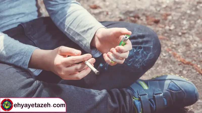 پشتیبانی جسمانی بازسازی پایه فیزیکی زندگی