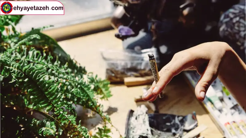 پشتیبانی روانی ترمیم ذهن آسیب دیده