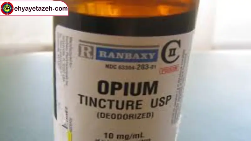 🕊️ طلوع دوباره زندگی در «کمپ ترک اعتیاد احیای تازه»؛ جایی که پایان اعتیاد، آغاز قهرمانی شماست