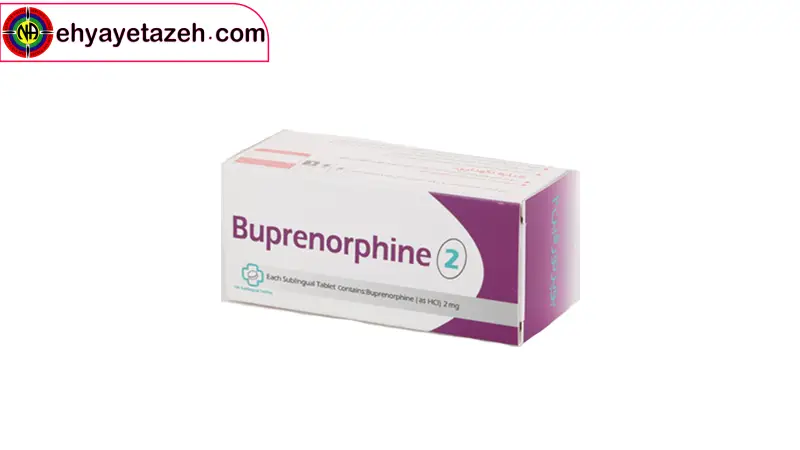 احیای تازه؛ جایی که زندگی دوباره آغاز میشود