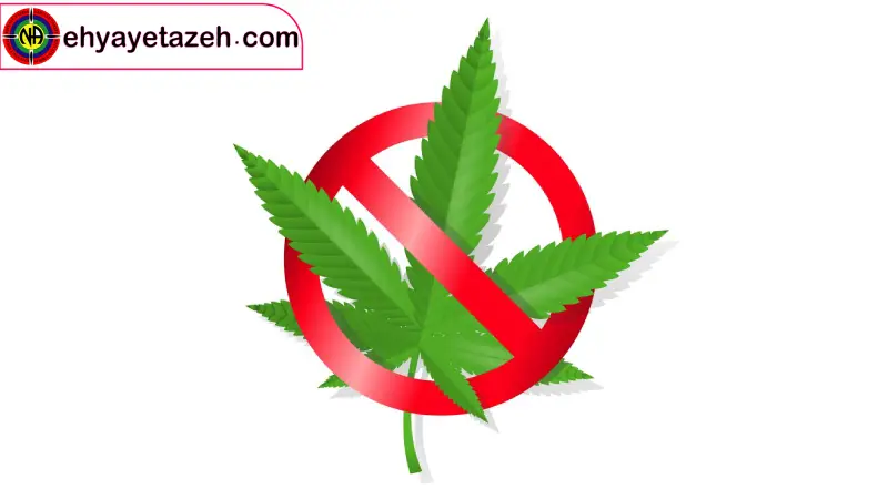 بازگشت به زندگی با کمپ ترک اعتیاد احیای تازه